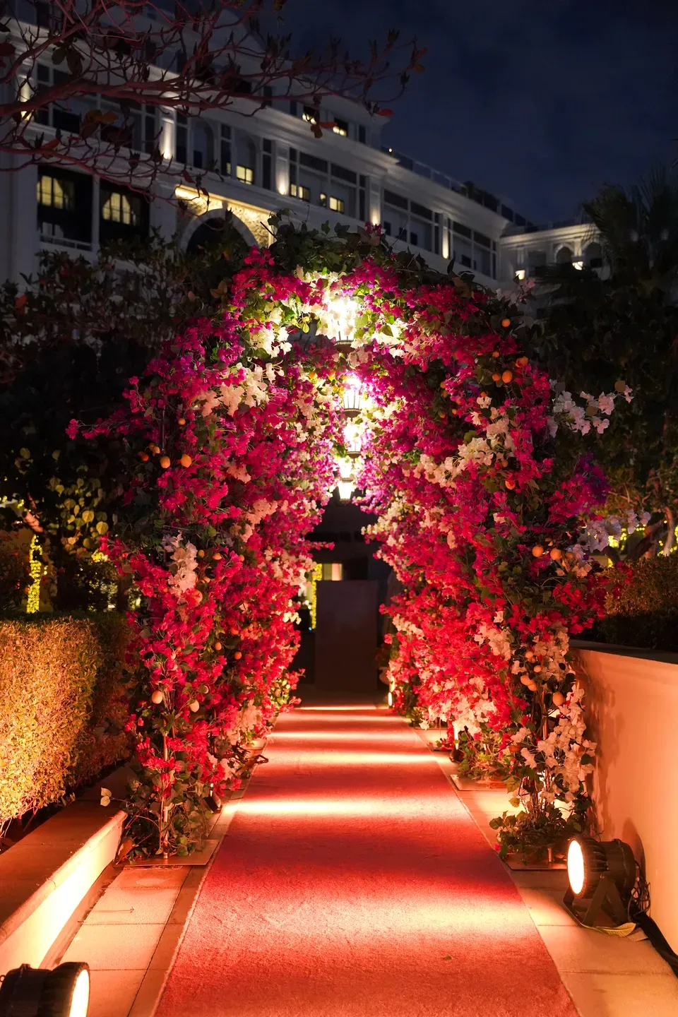 Red carpet walkway under an arch of pink and white bougainvillea lit from below